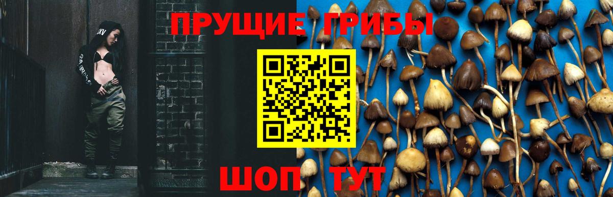 как найти закладки  Вход с VPN  Джанкой  Псилоцибиновые грибы мухоморы  Псилоцибиновые грибы Magic Shrooms 